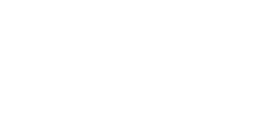 The Mirai Times